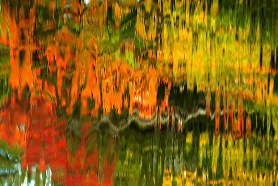 Water reflections - 09