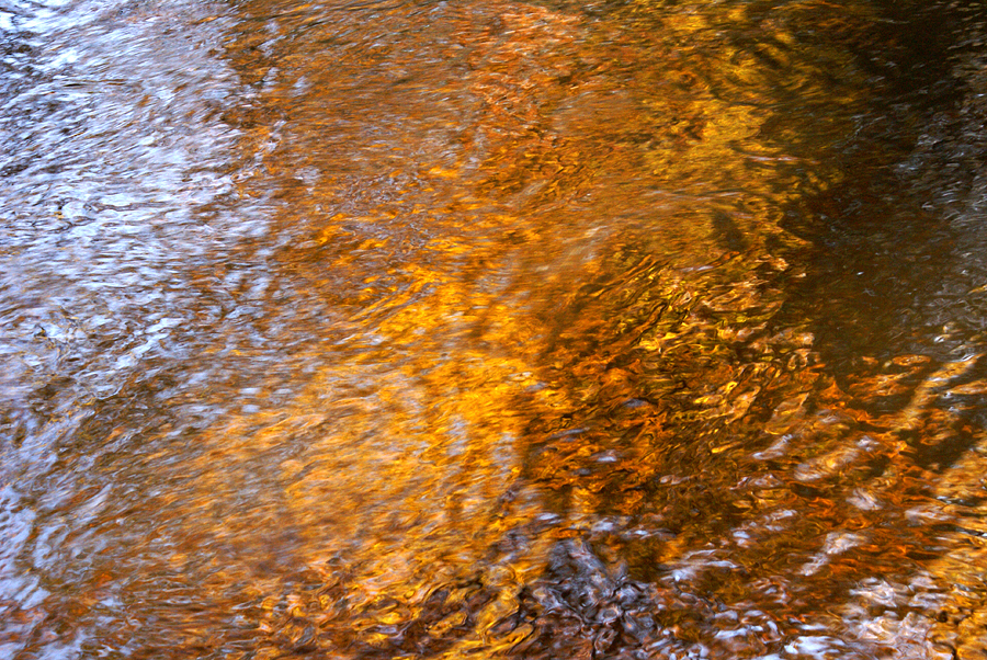Water reflections - 13