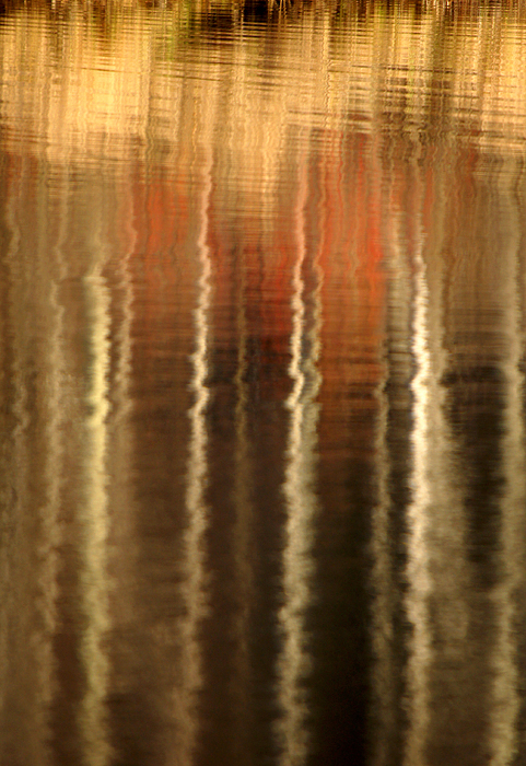 Water reflections - 05