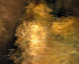 Water reflections - 01