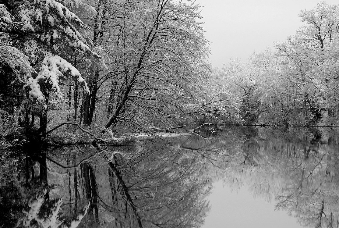snow-covered-trees-along-Sabattus-River_B-W 02010