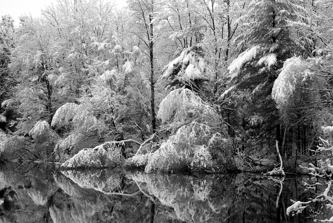 snow-covered-trees-along-Sabattus-River_B-W 02011