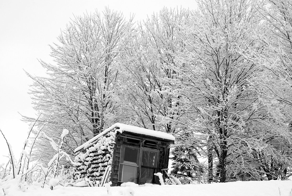snow-covered-trees-and-shack_B-W 02013