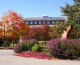 Olin-Arts-Center-in-autumn_DSC00806