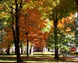 The-Quad-at-Bates-College-in-autumn_DSC00828