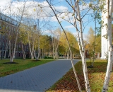 The-Boulevard-in-autumn