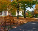 The-Quad-in-autumn