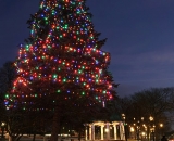 Christmas tree and gazebo in Kennedy Park
