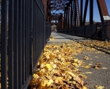 Autumn leaves on the foot trestle