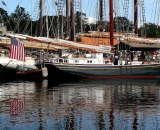 tall-ships-in-Camden-Harbor_P1080409
