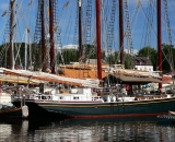 tall-ships-in-Camden-Harbor_P1080421