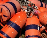 Orange lobster bouys