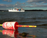 Lobster-Boat-at-Anchor-at-Pine-Point