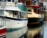 tourist-boats-at-wharf-in-Portland-Harbor_12003