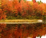 fall-foliage-orange-trees-reflected-in-pond__DSC02028