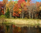fall-foliage-reflections-in-pond_DSC02567