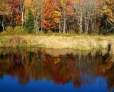 fall-foliage-reflections-in-pond_DSC02570