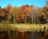 fall-foliage-reflections-in-stream_DSC02565