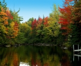fall-foliage-reflections-on-a-pond_DSC00337