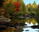 fall-foliage-reflections-on-a-pond_DSC00370