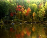fall-foliage-reflections-on-pond_DSC00324