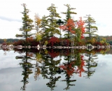fall-foliage-maples-and-pines-reflected-in-lake_ 121