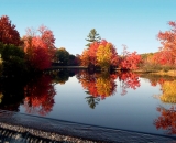 fall-foliage-reflected-in-lake-at-edge-of-dam_ 129