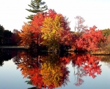 fall-foliage-reflected-in-lake_ 128