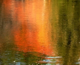 fall-foliage-yellow-and-orange-abstract-reflections-in-water_P1100146