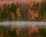 autumn-at-edge-of-woodland-pond_P1090840