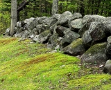 stone-wall-along-mossy-hill_SCE 157