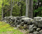 stone-wall-along-mossy-hill_SCE 160