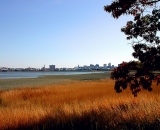 view-of-Portland-across-Back-Cove-in-autumn_SCE 022