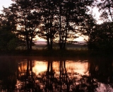 silhouetted-trees-at-dawn-on-Bog-brook_DSC00136