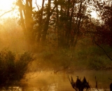 sunrise-at-Bog-Brook_DSC00219
