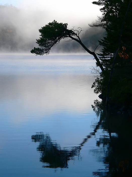 fog-and-at-Moxie-Lake_P1090618