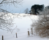 Snow-covered hillside