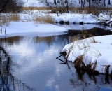 stream-in-winter_DSC03402