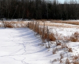 winter-field-and-fence_P1020247