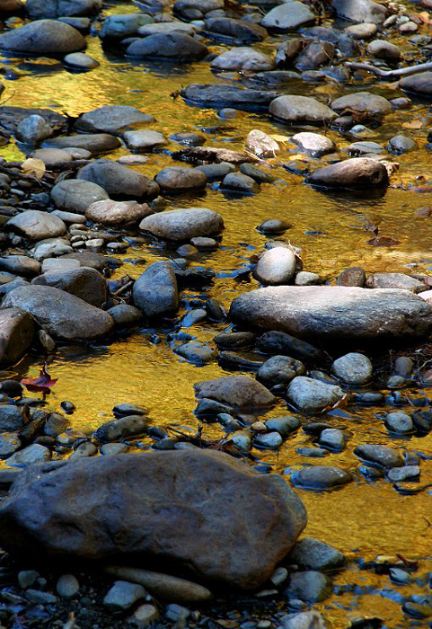 autumn-color-and-rocks-in-woodland-stream_DSC00816