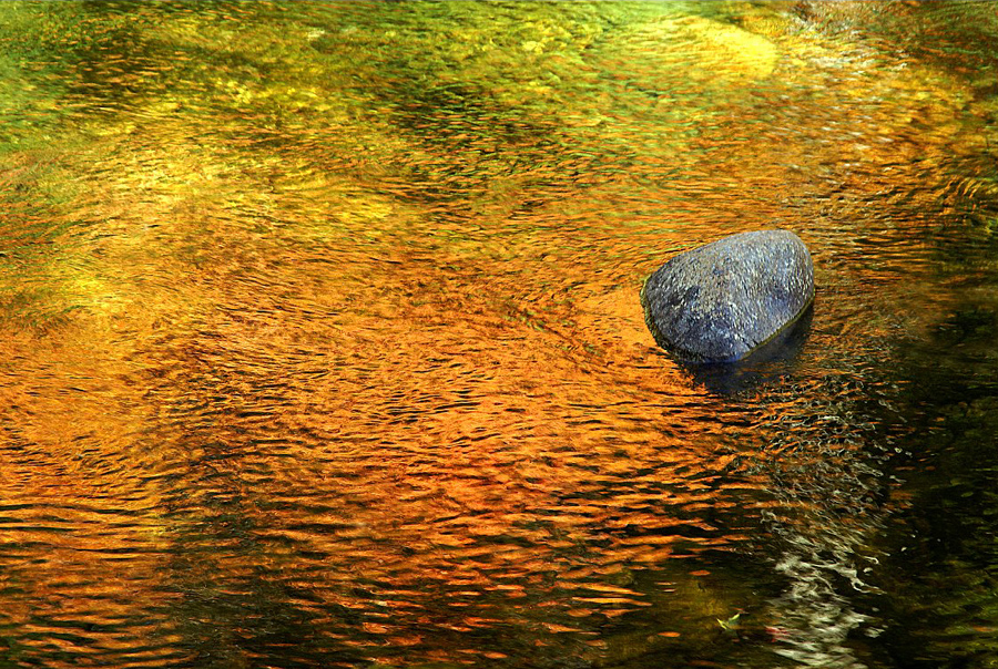 autumn-color-on-woodland-stream_DSC00867
