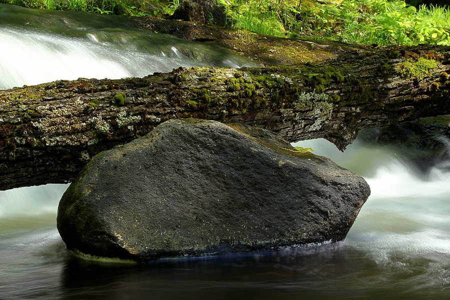 boulder-and-log-in-woodland-stream_DSC06495