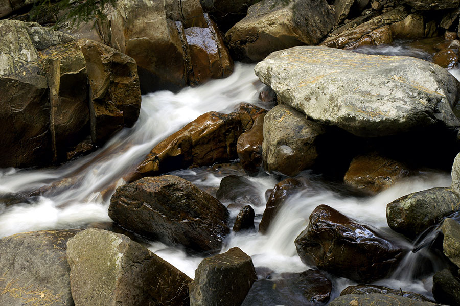 Woodland stream rushes over rocks-04