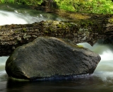 boulder-and-log-in-woodland-stream_DSC06495