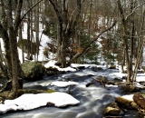 woodland-stream-in winter_DSC03992