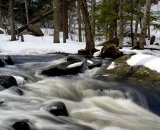 woodland-stream-in winter_DSC04002