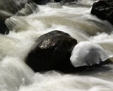 woodland-stream-in winter_DSC04020