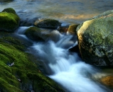 woodland-stream-rushes-between-rocks_DSC00952