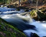 woodland-stream-rushes-over-rocks_DSC00942