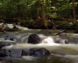 woodland-stream-rushes-over-rocks_DSC06518